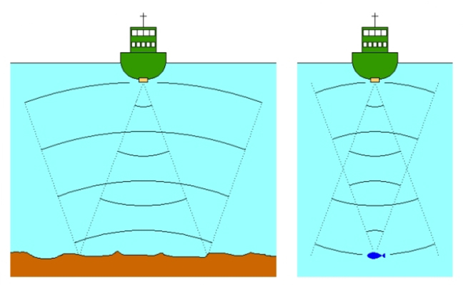 Dual Channel Echo Sounder1.jpg